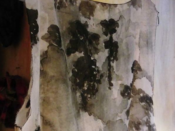 Mostra Danielis.jpg