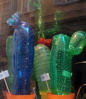 Magma cactus.jpg